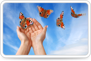 Sue Ricks NLP Consultancy Sue Ricks NLP Consultancy